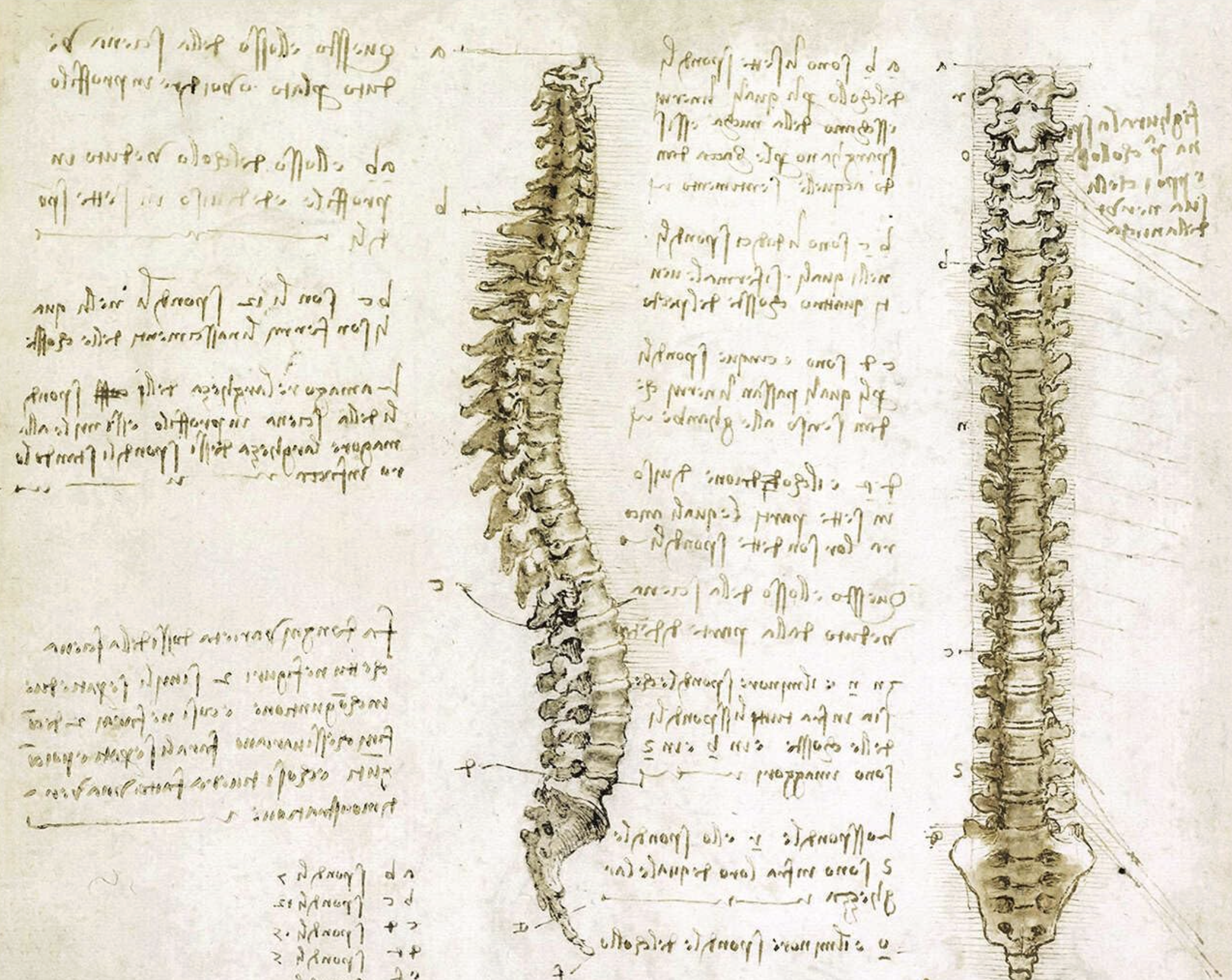 Derrière les lois de Fryette, genèse d’un modèle ostéopathique aujourd’hui contesté